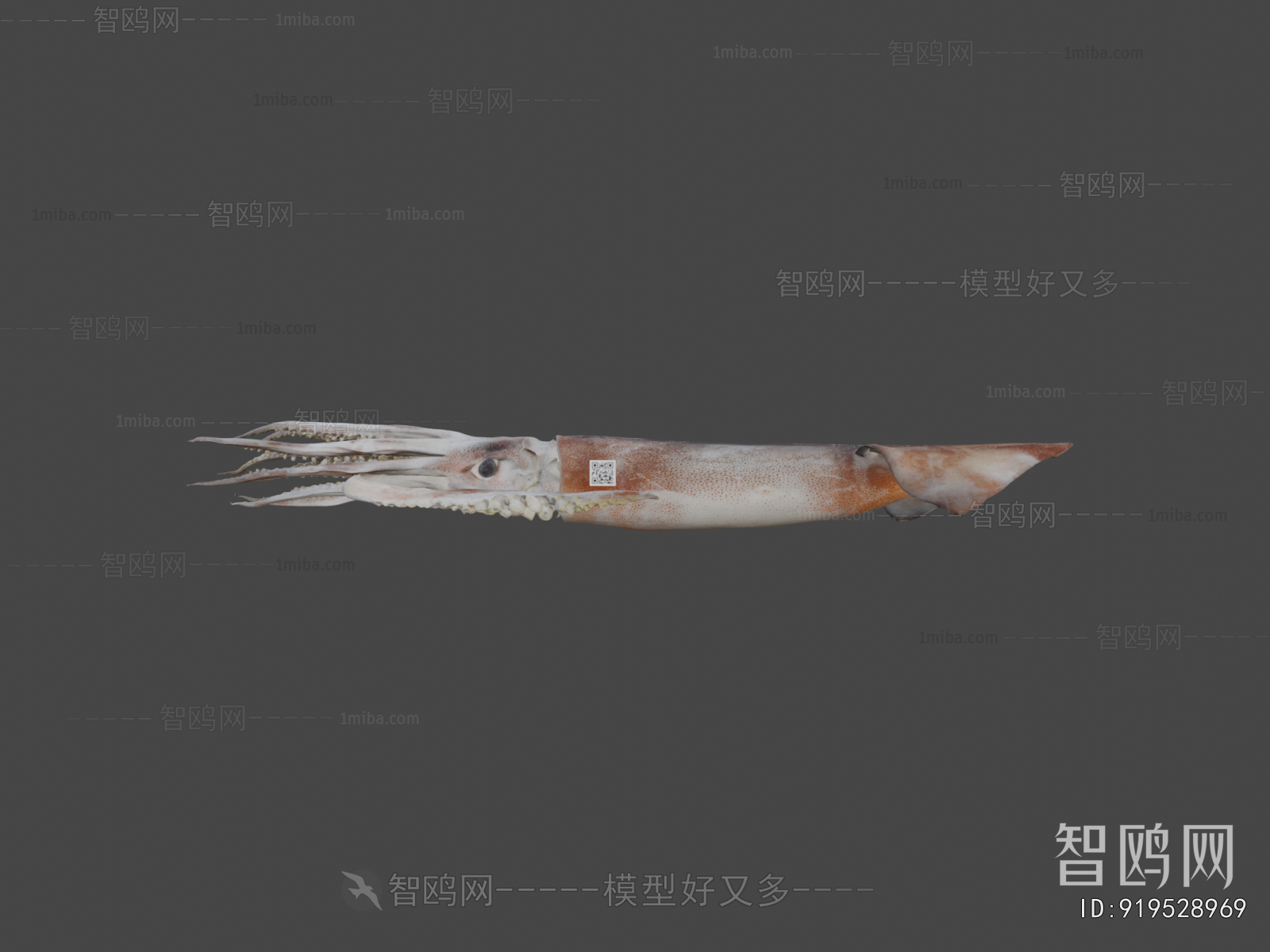 Modern Aquatic Animals