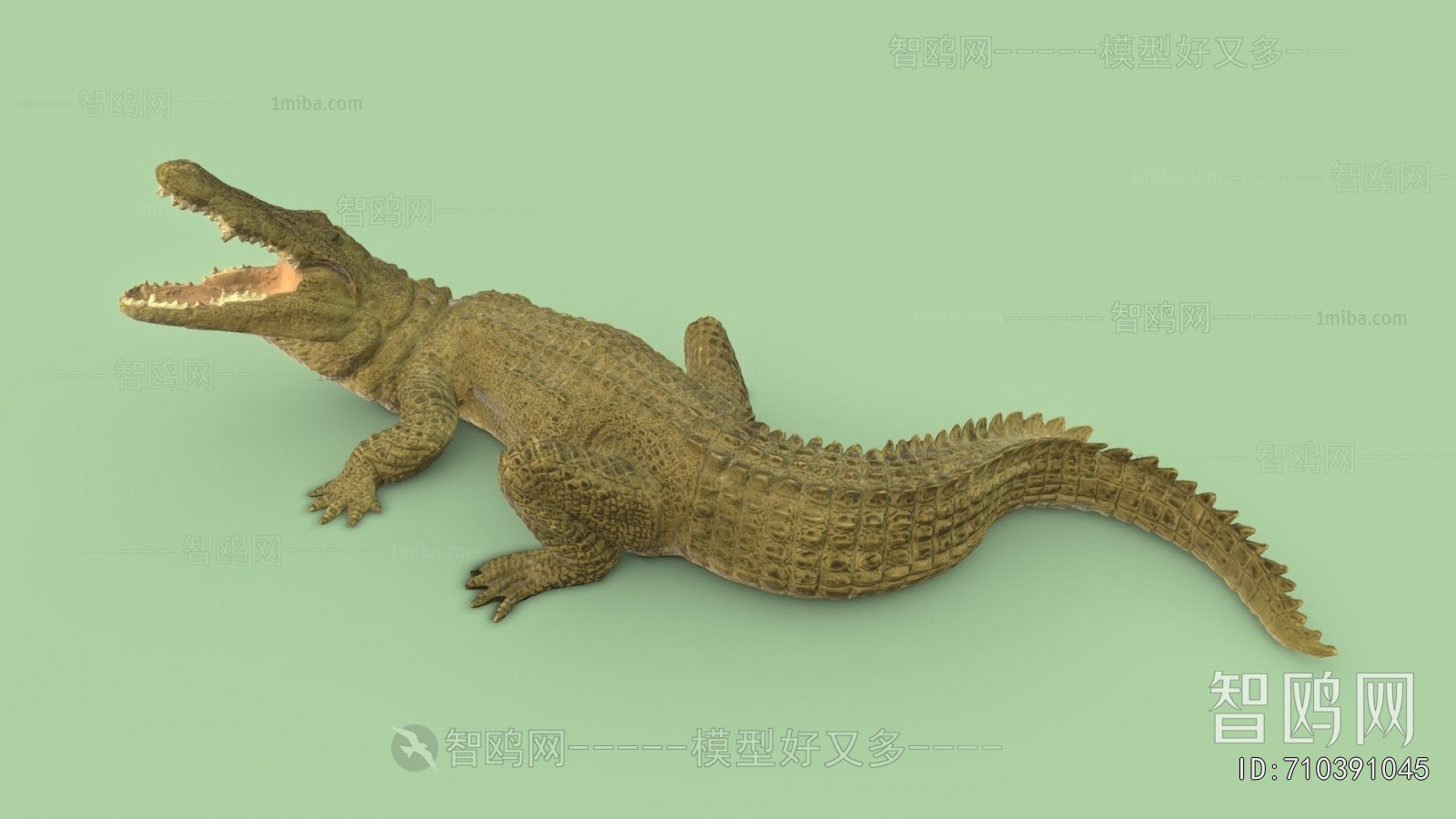 Modern Aquatic Animals