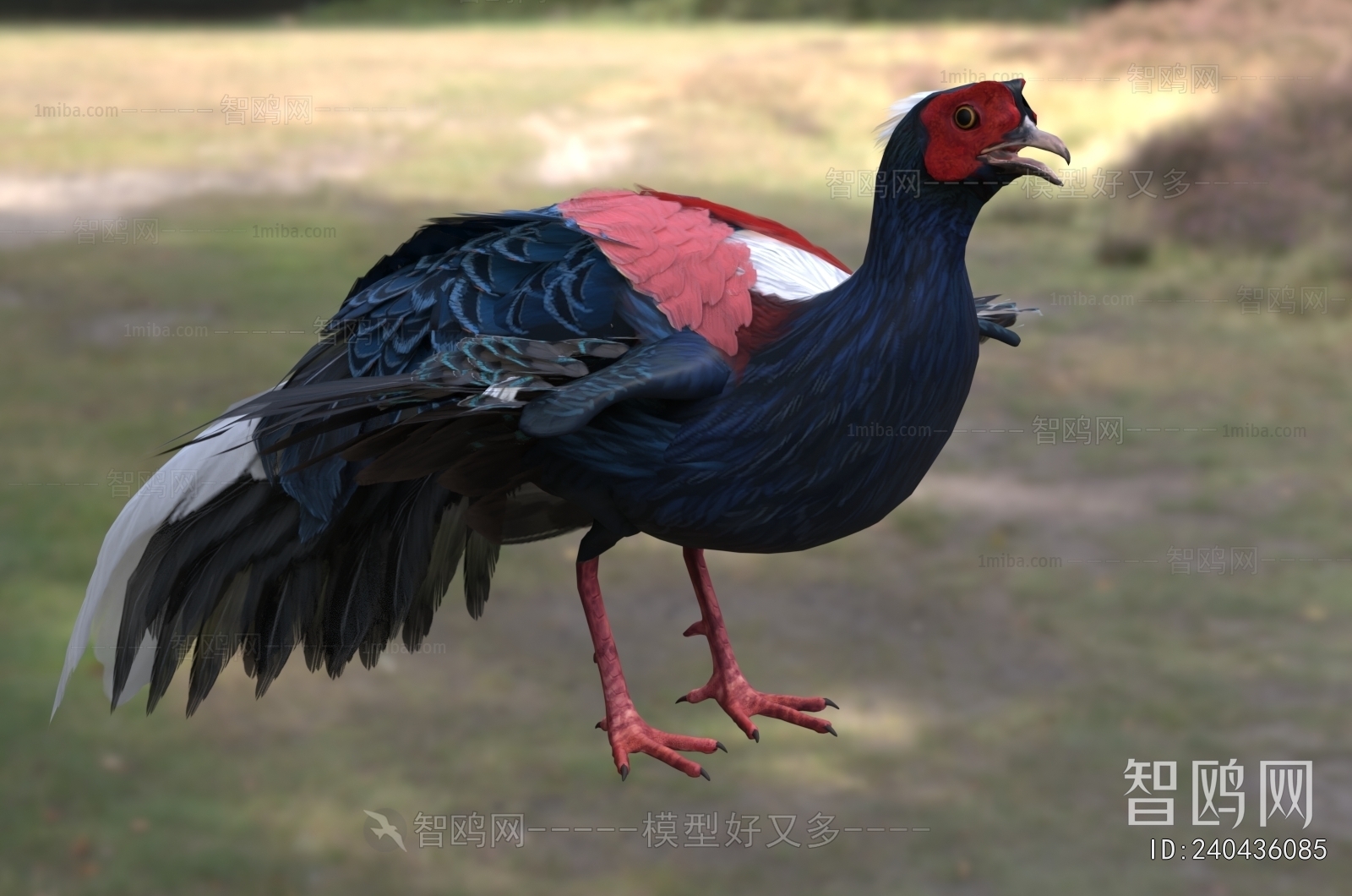 Modern Flying Animals