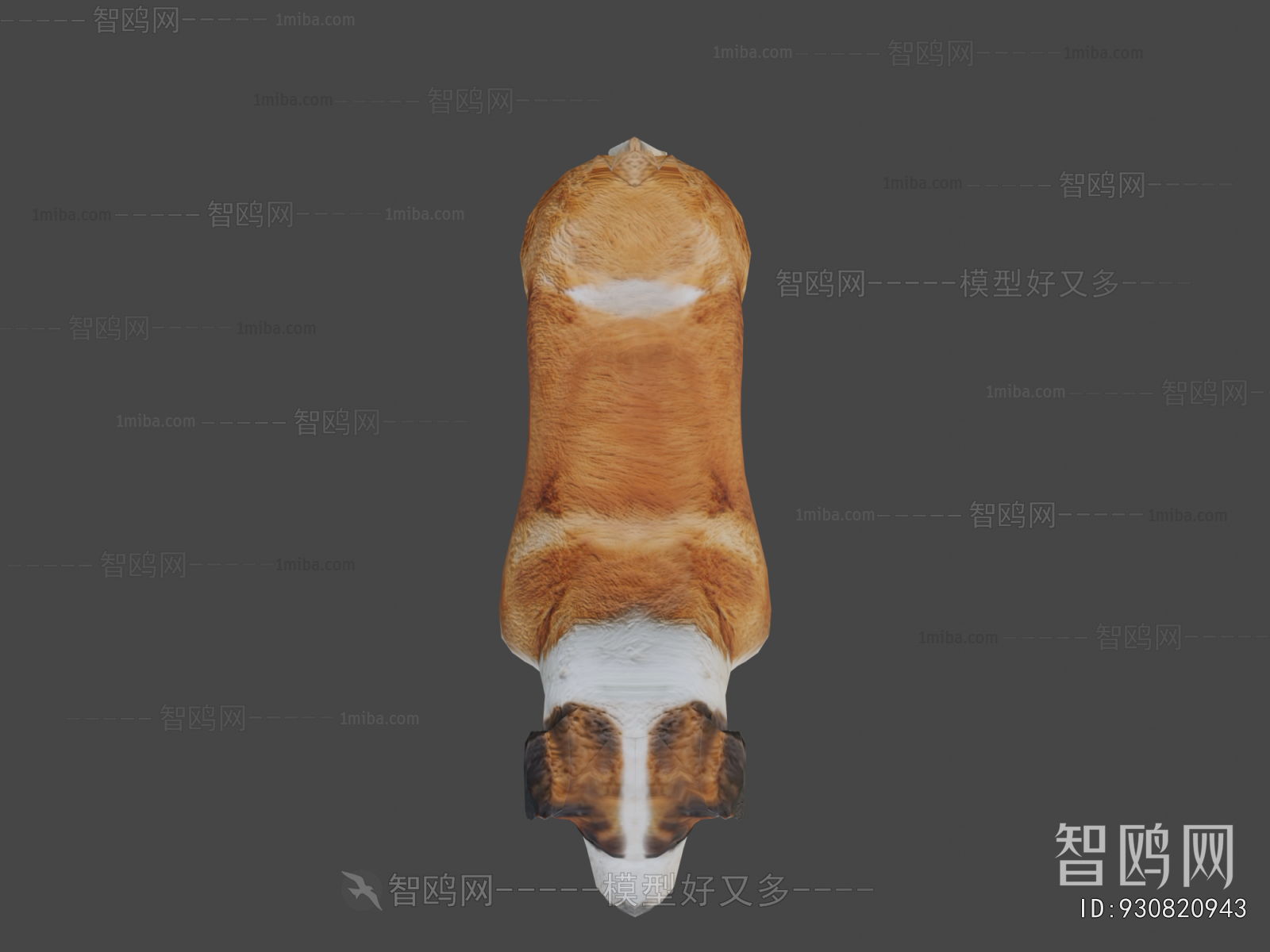 Modern Animal