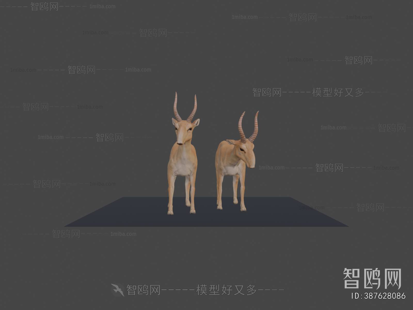 Modern Mammal