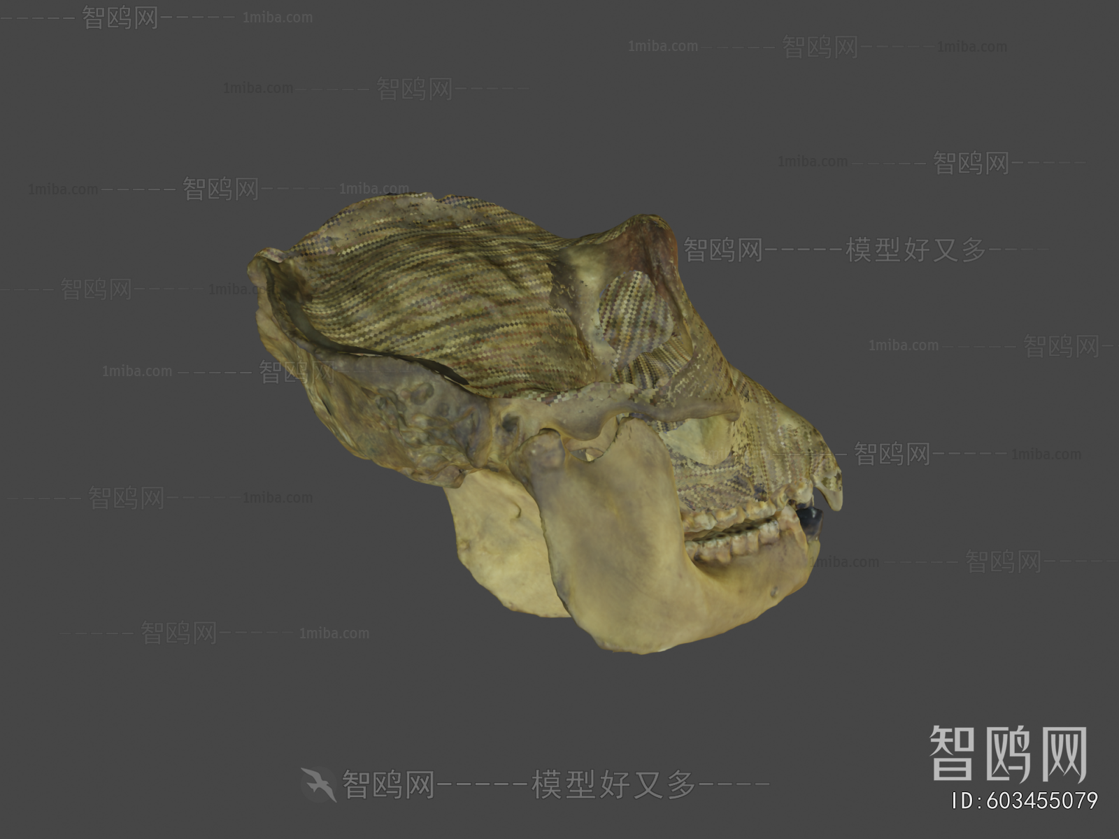 Modern Medical Equipment