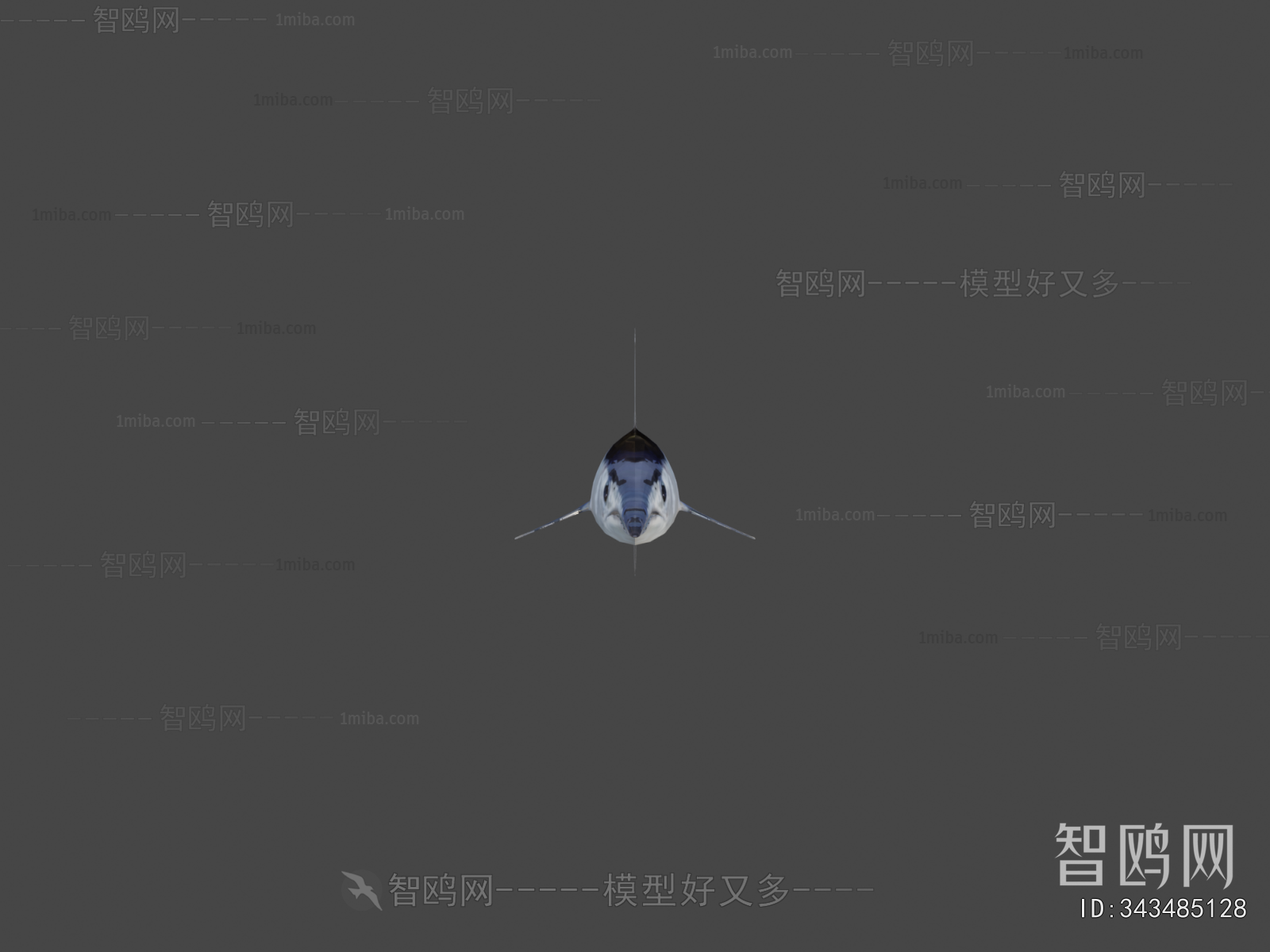 Modern Aquatic Animals