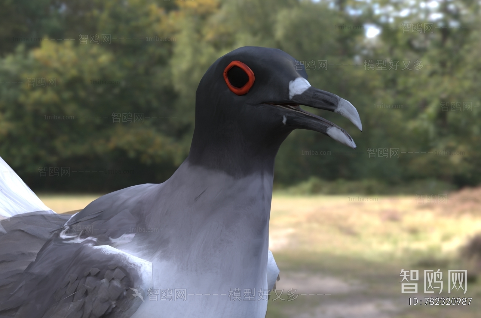 Modern Flying Animals