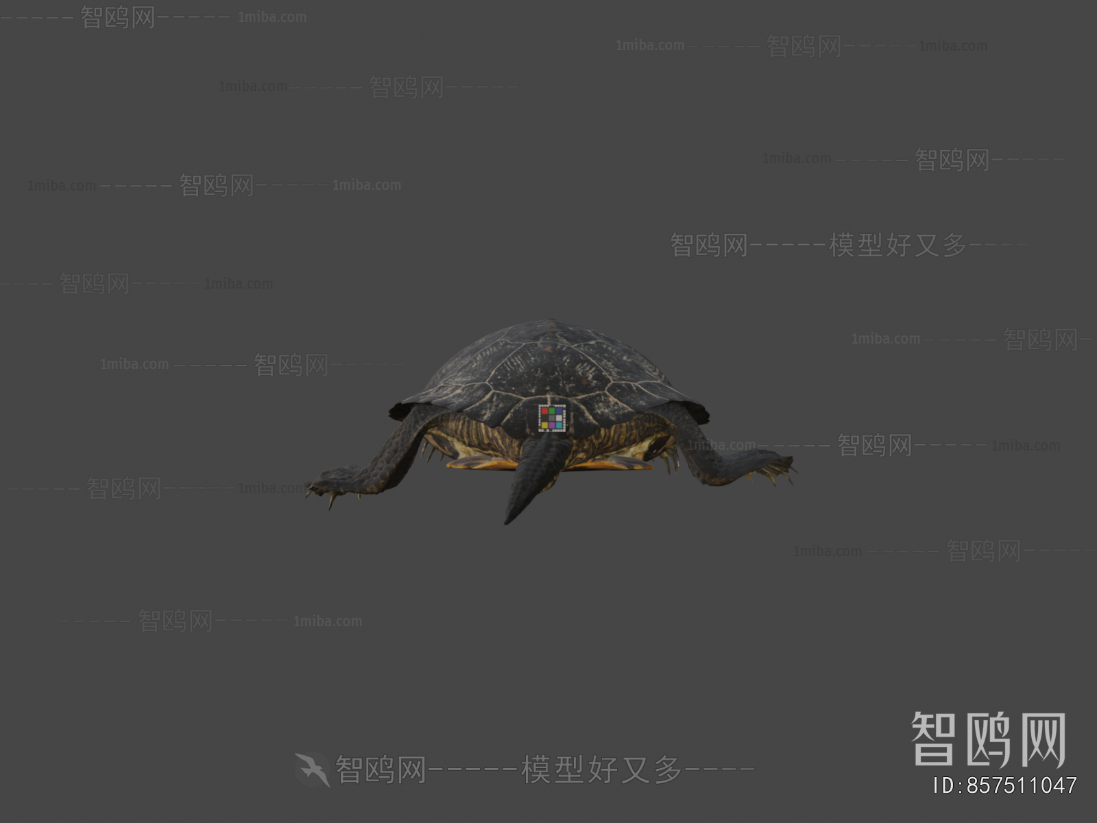 Modern Reptile