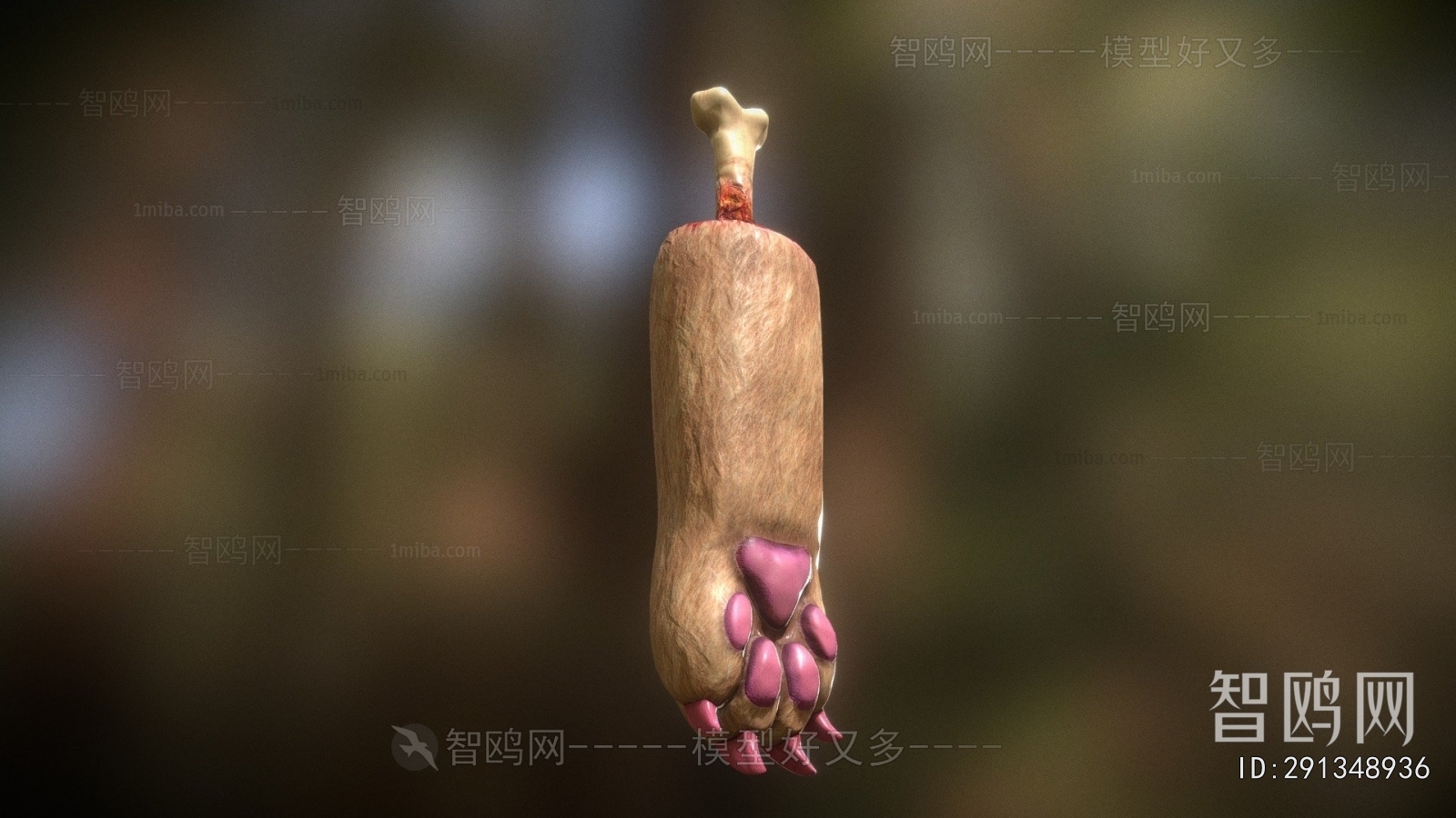 Modern Animal