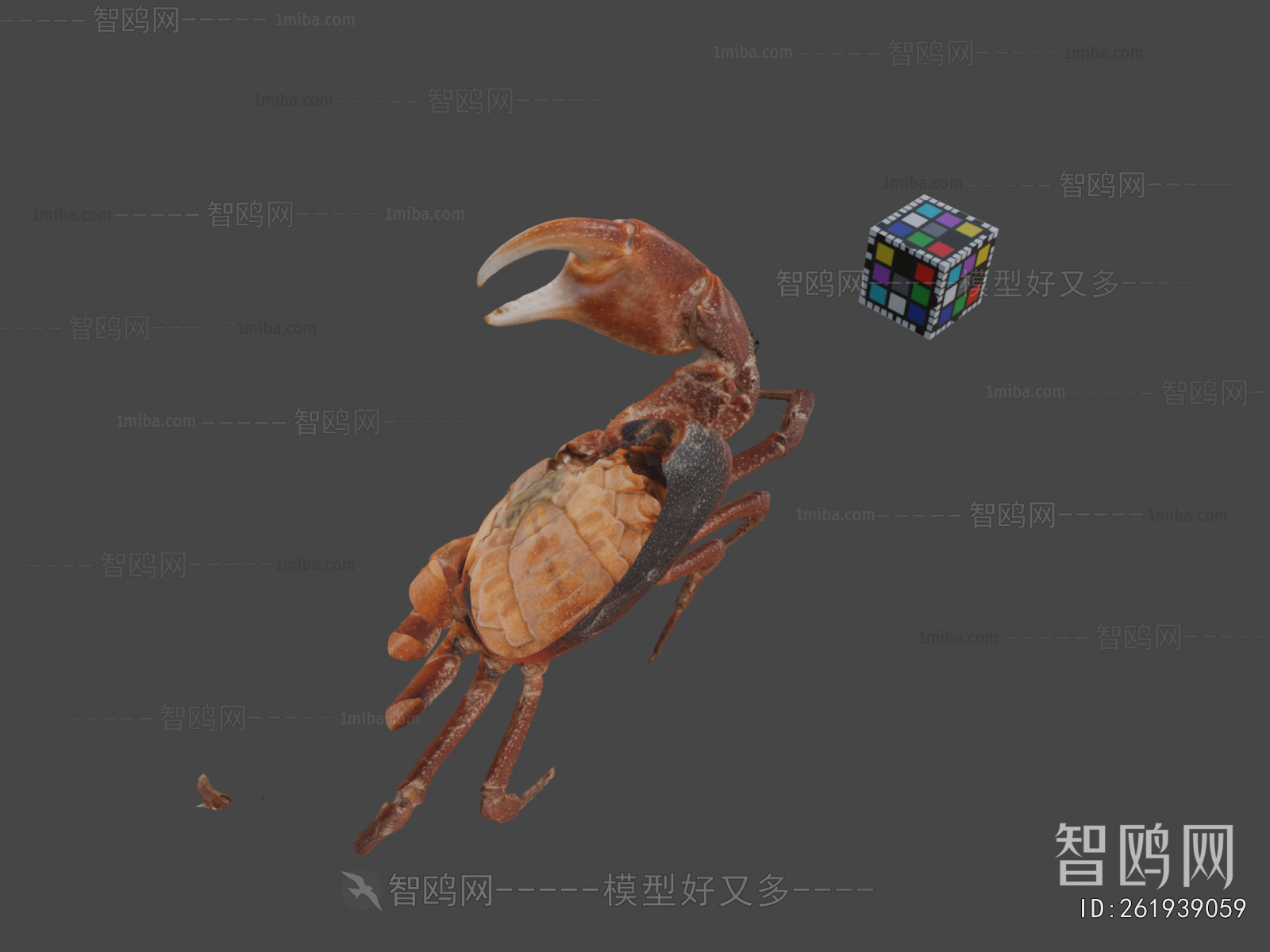 Modern Aquatic Animals