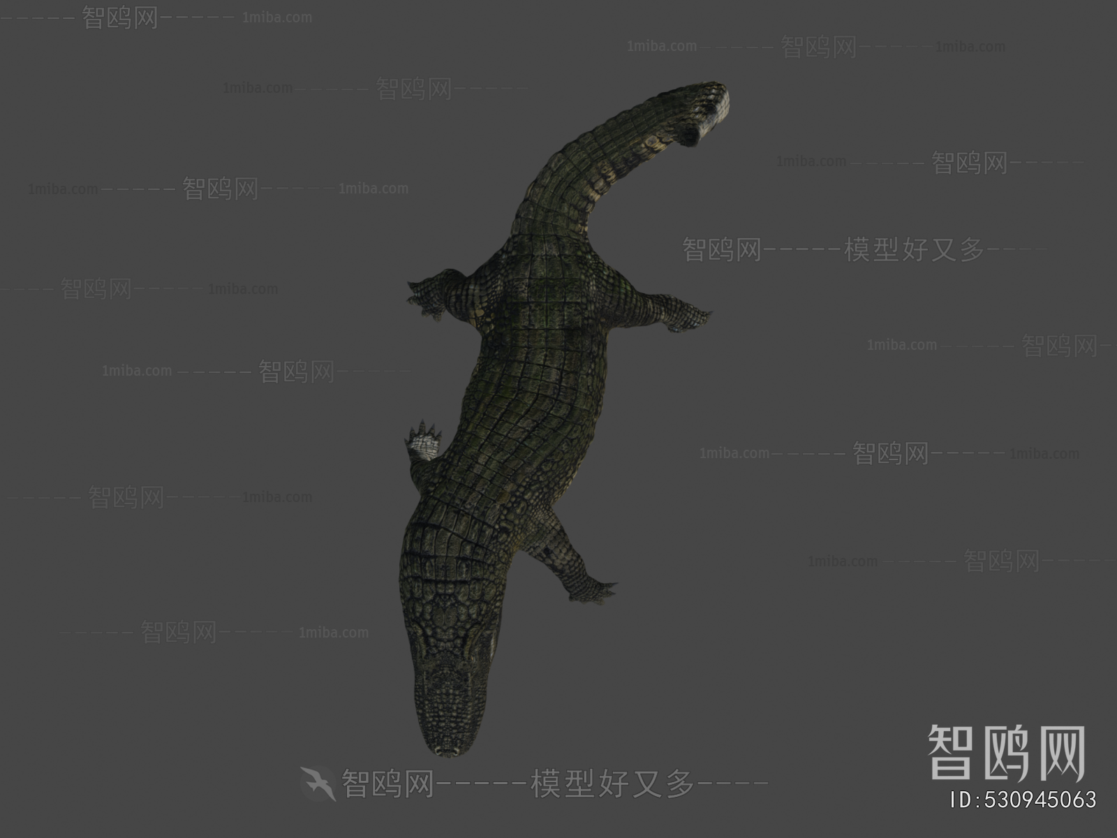 Modern Reptile