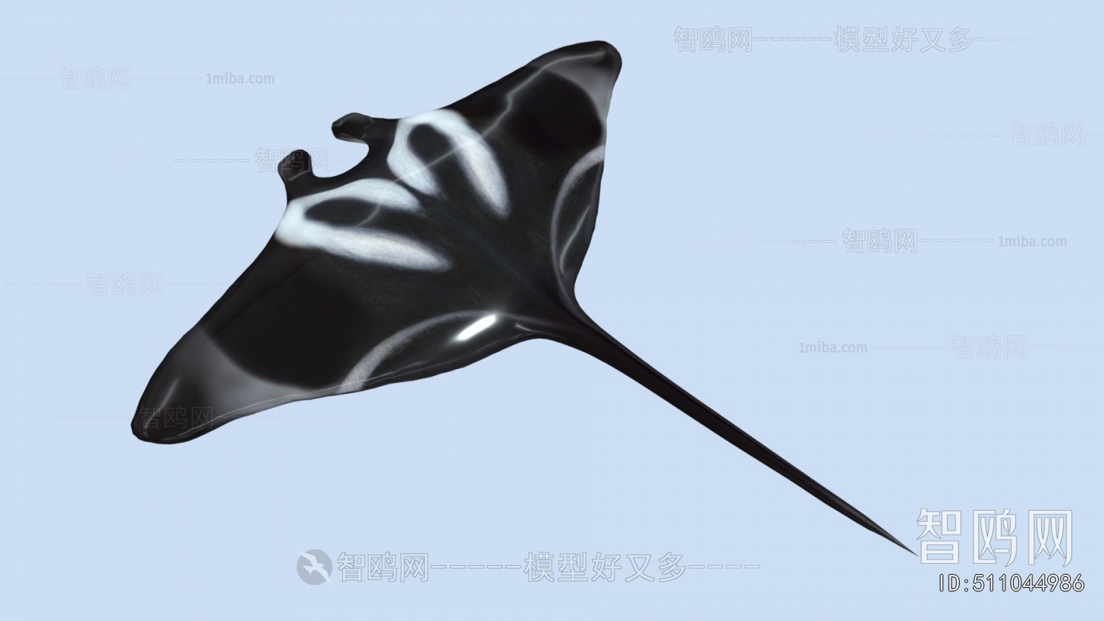 Modern Aquatic Animals