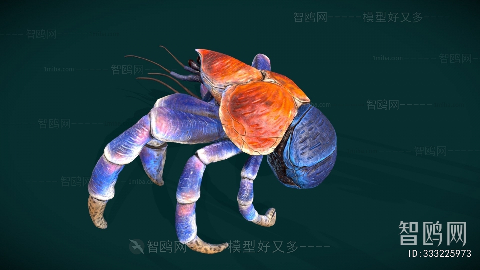 Modern Animal