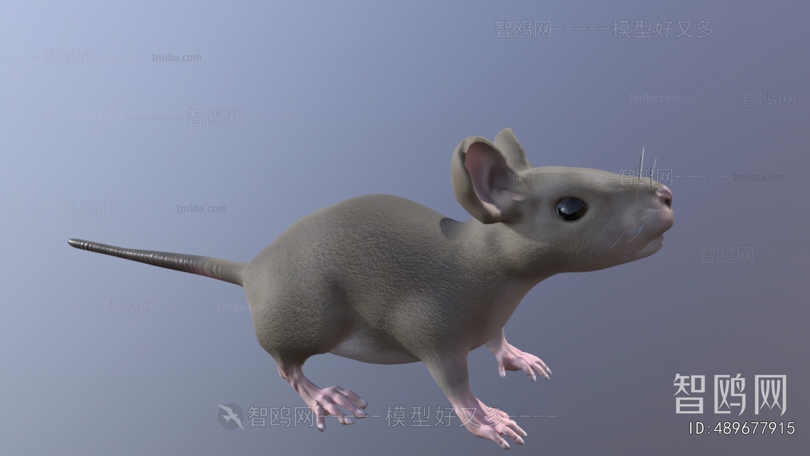 Modern Animal