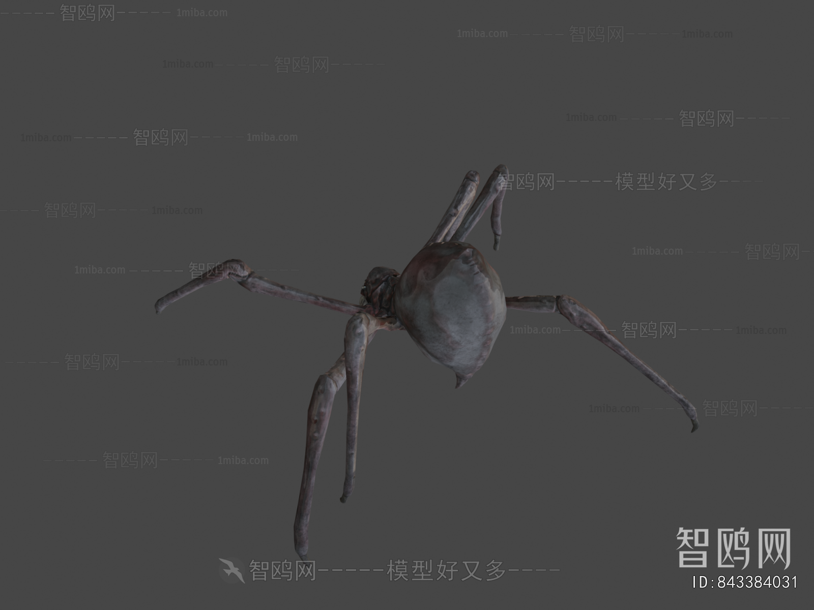 Modern Animal