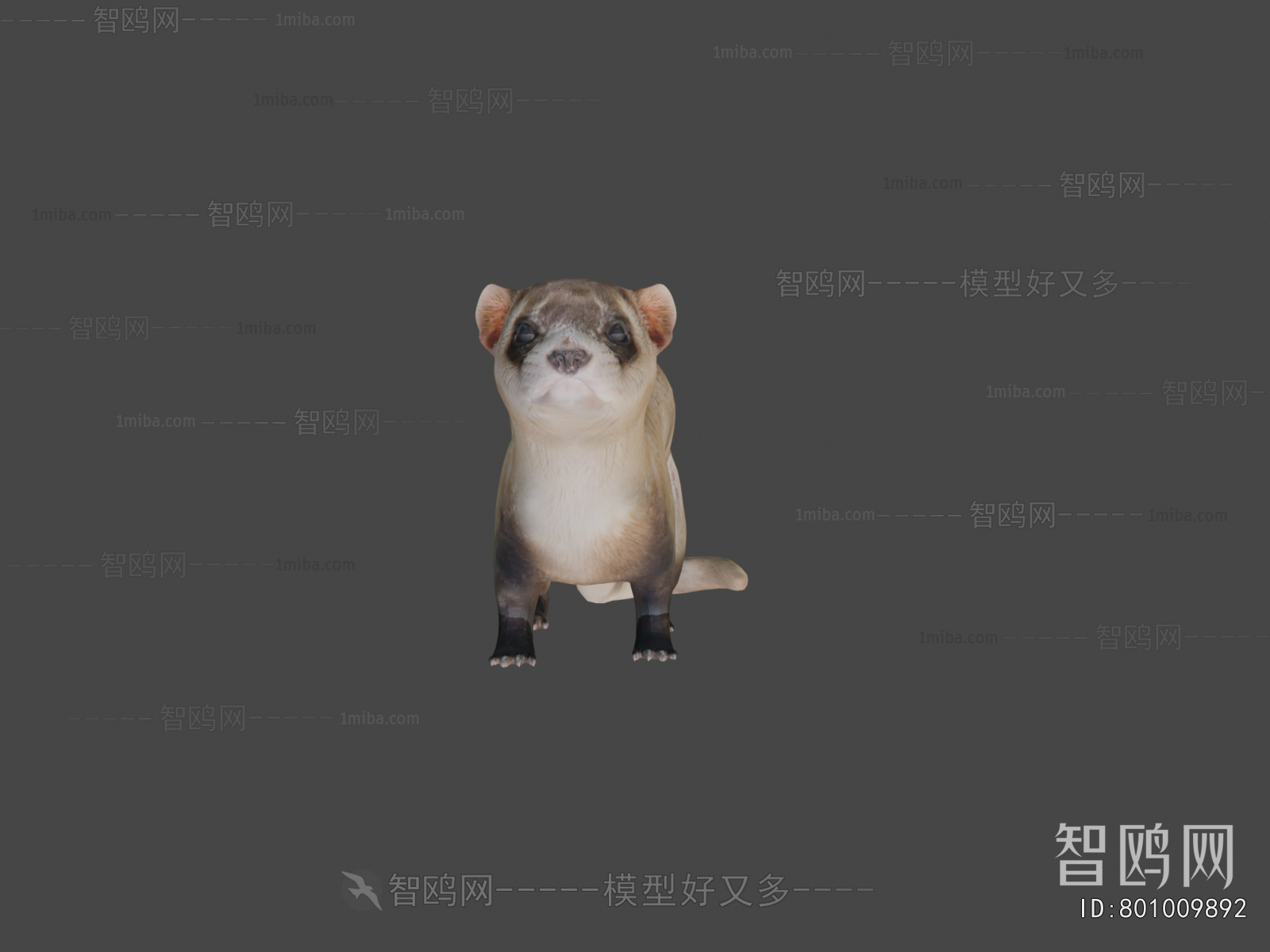 Modern Mammal