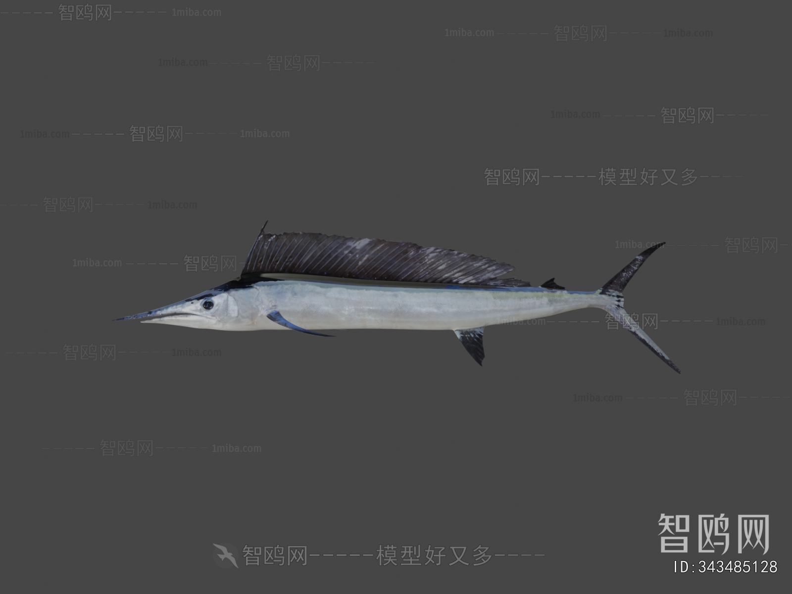 Modern Aquatic Animals