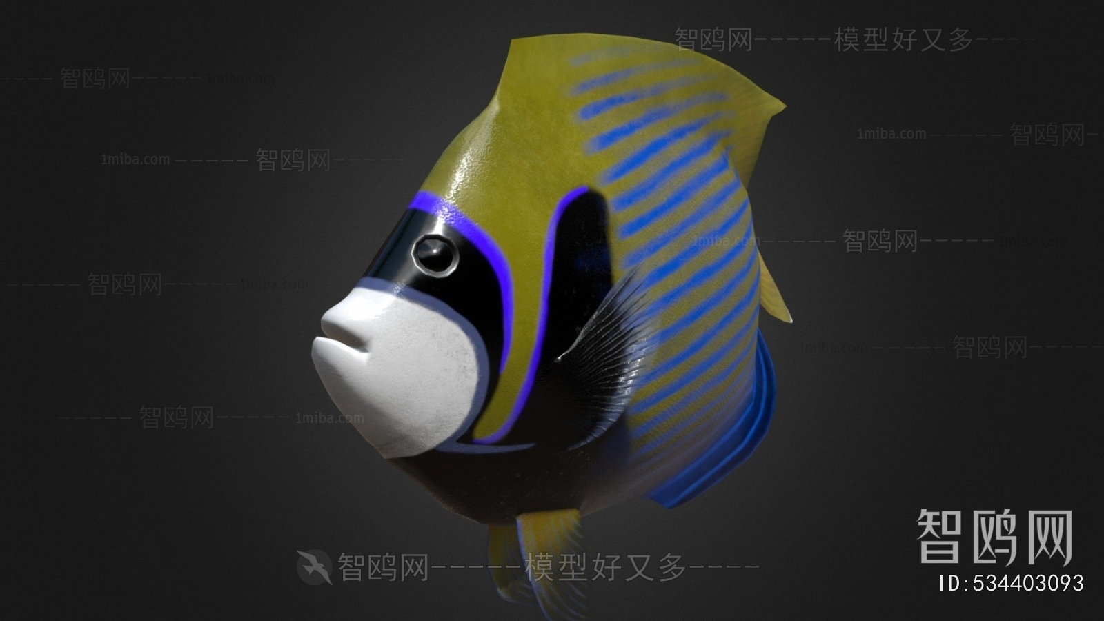 Modern Aquatic Animals