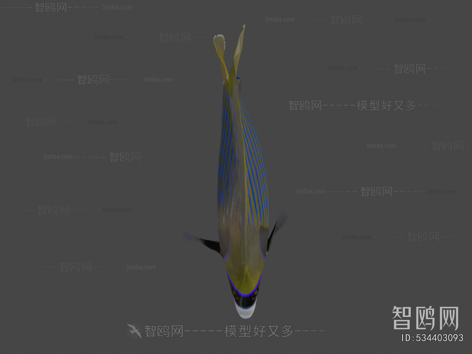 Modern Aquatic Animals