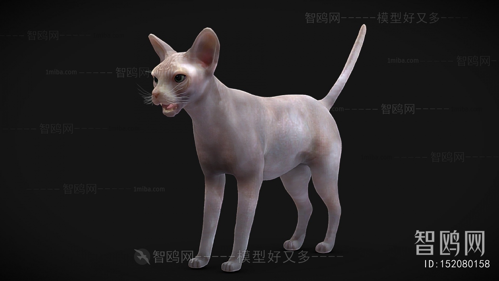 Modern Mammal