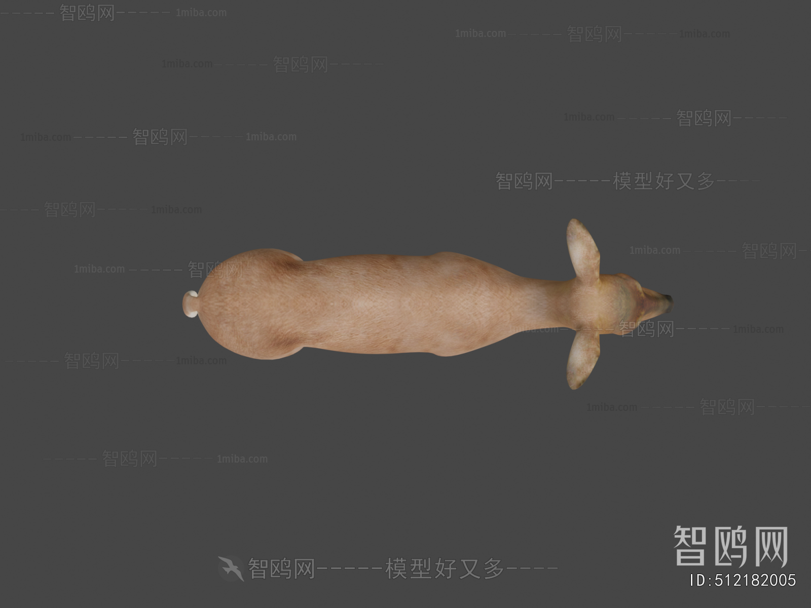 Modern Mammal