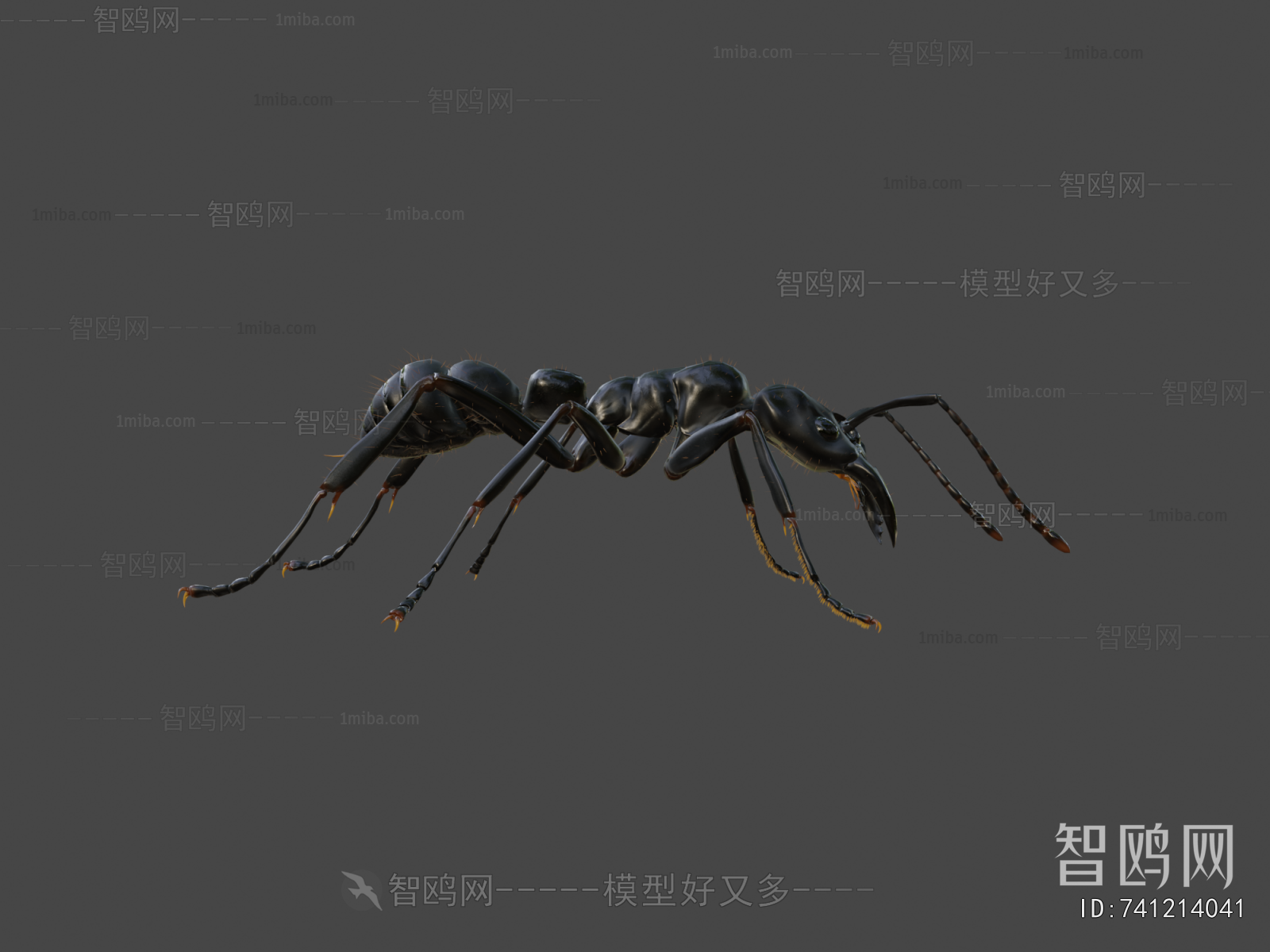 Modern Animal