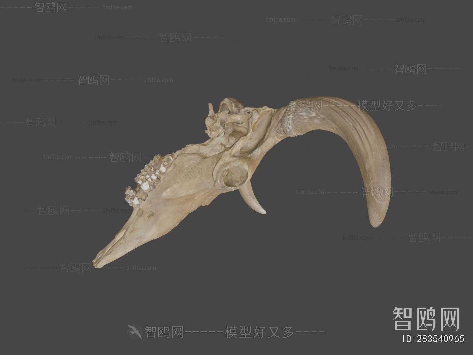 Modern Medical Equipment