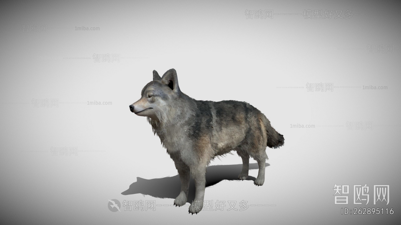 Modern Mammal