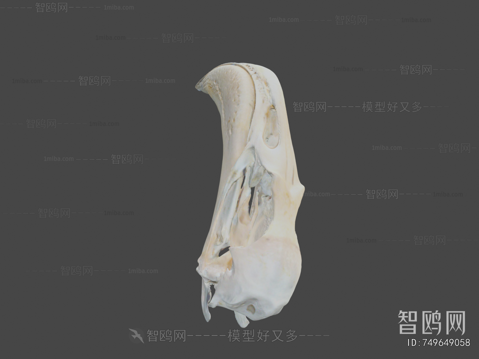 Modern Medical Equipment