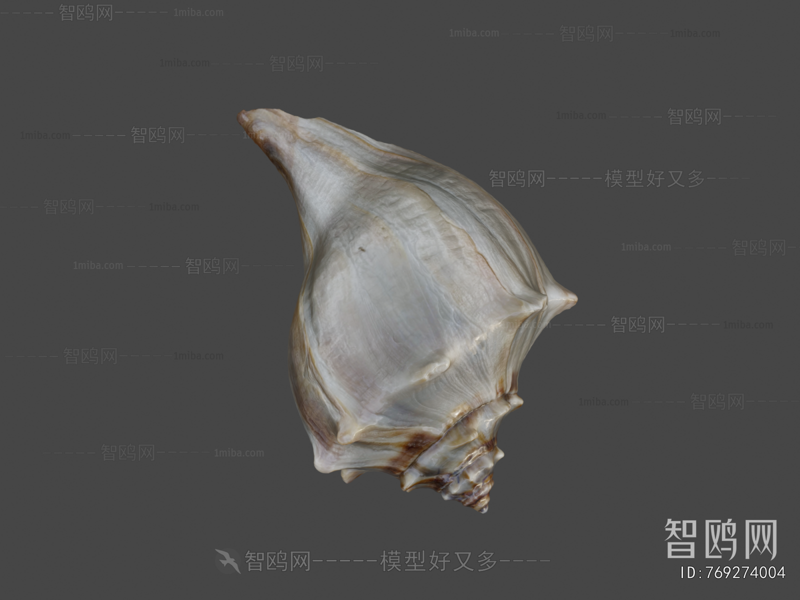 Modern Aquatic Animals