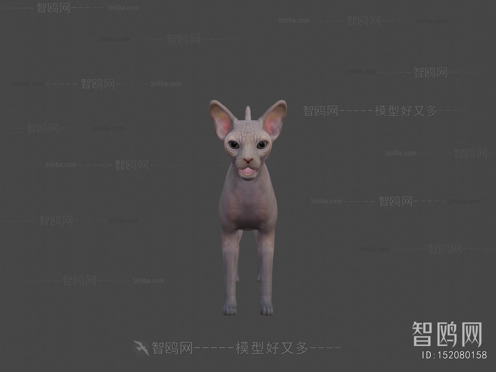 Modern Mammal