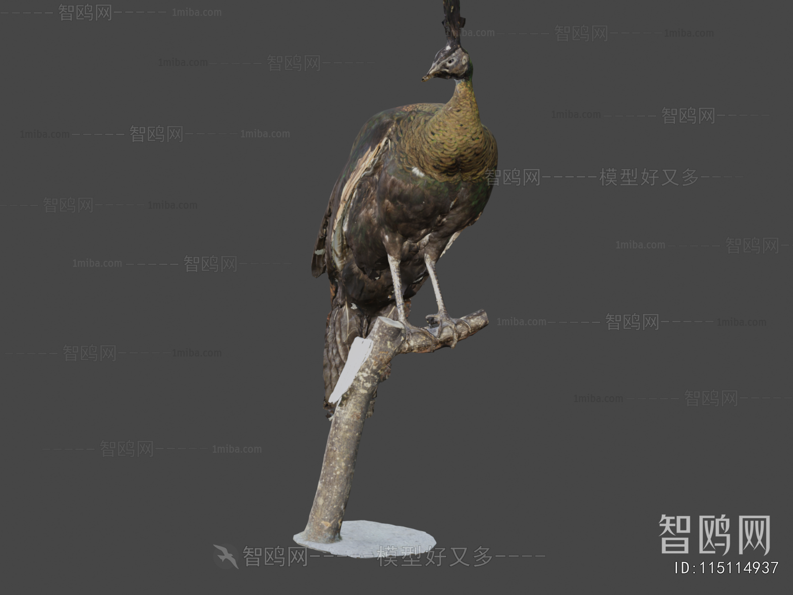 Modern Flying Animals