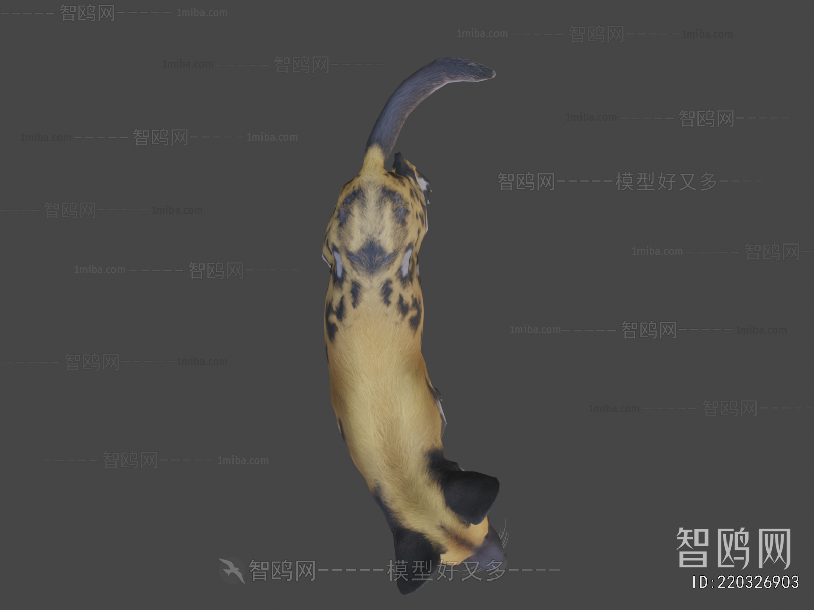 Modern Mammal
