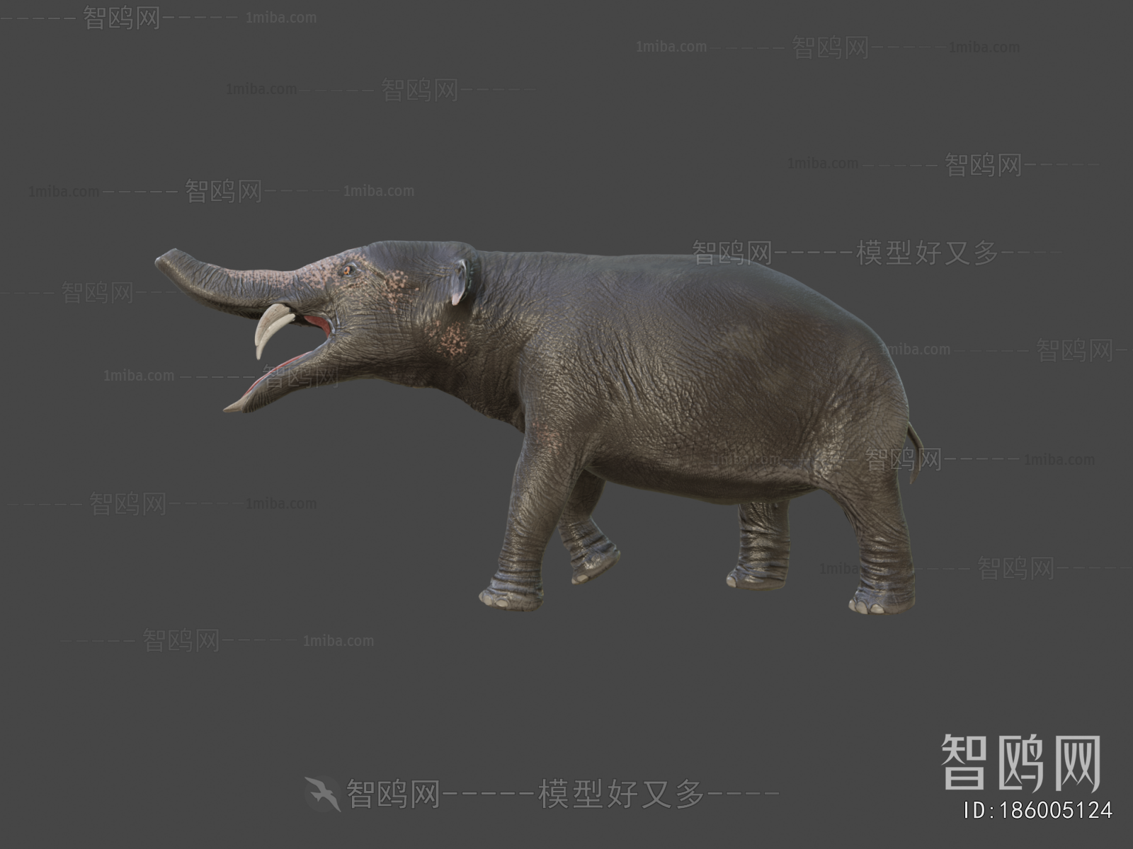 Modern Mammal