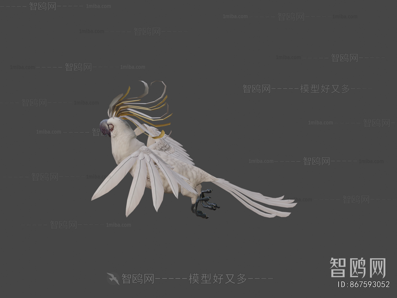 Modern Flying Animals