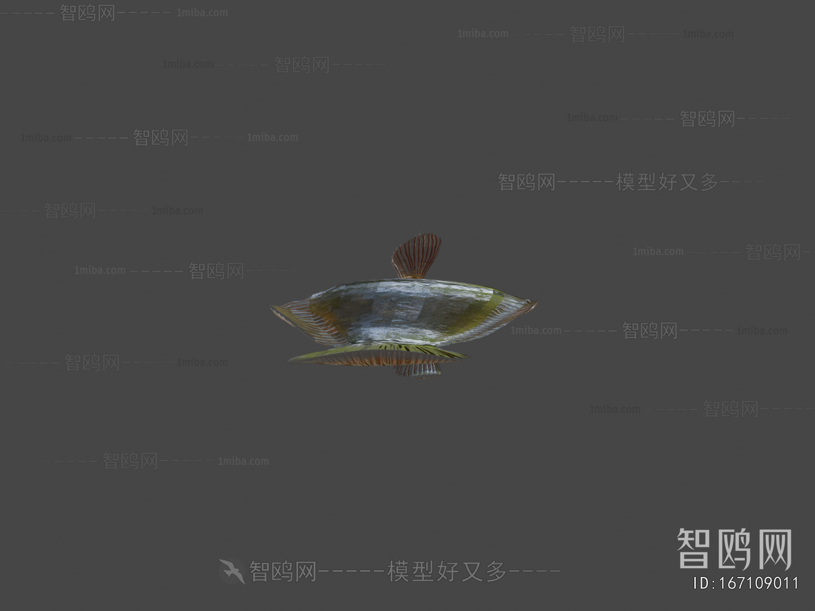 Modern Aquatic Animals