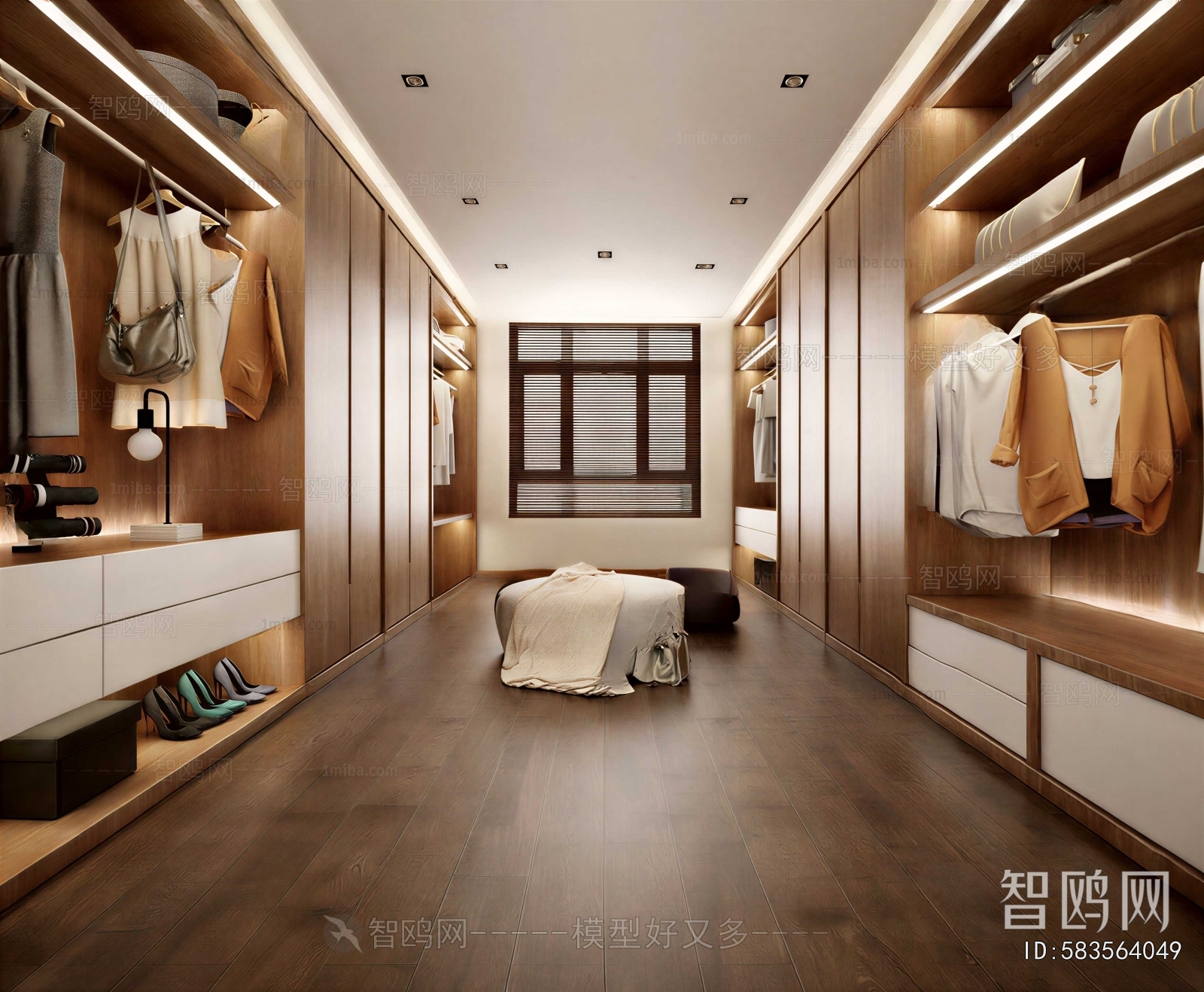 Modern Clothes Storage Area