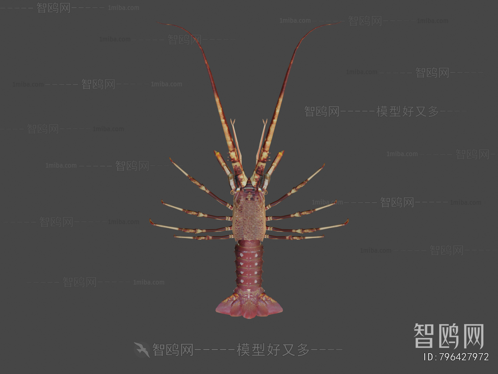 Modern Aquatic Product