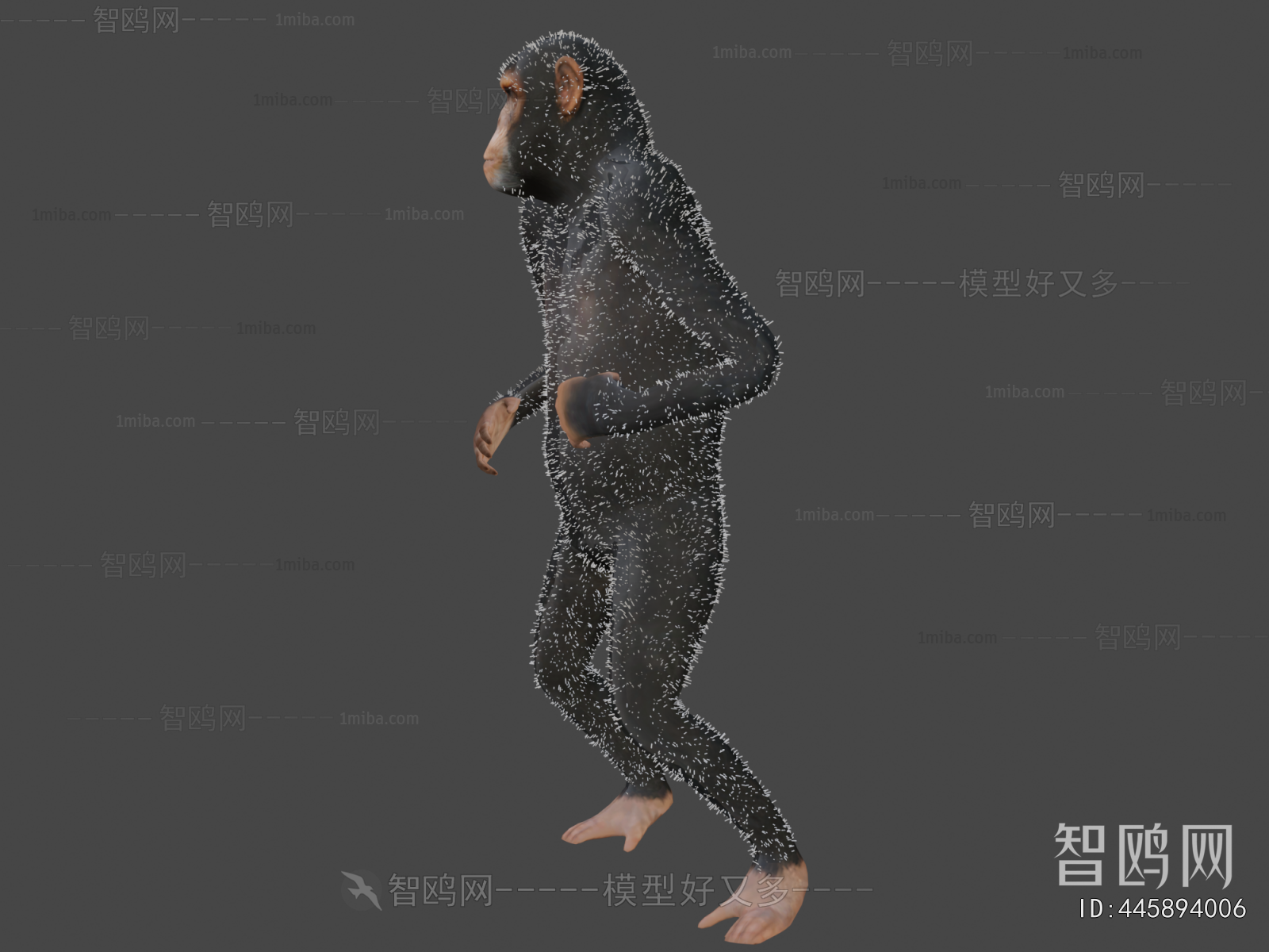 Modern Animal