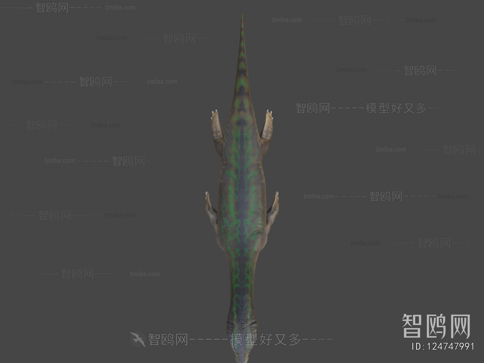 Modern Aquatic Animals