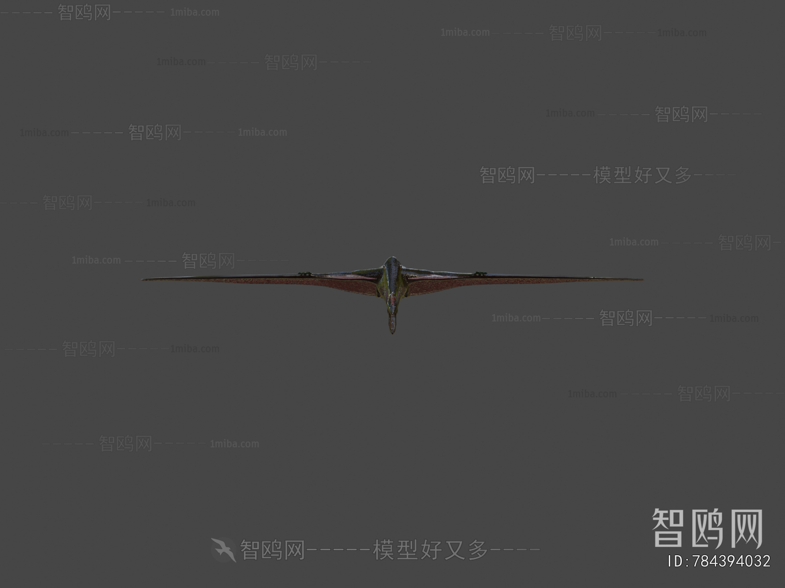 Modern Flying Animals