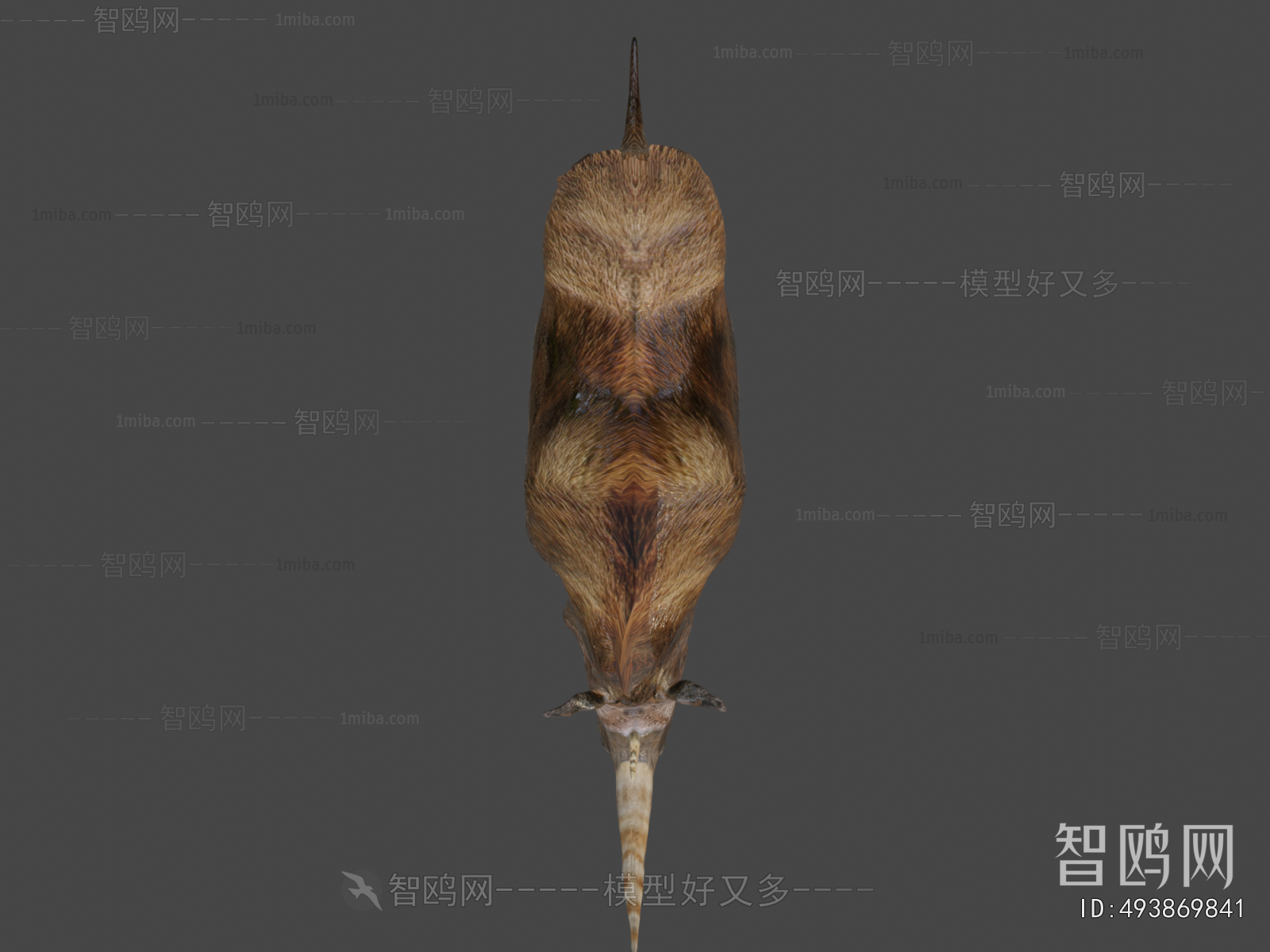Modern Mammal