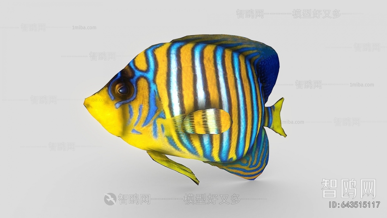 Modern Aquatic Animals