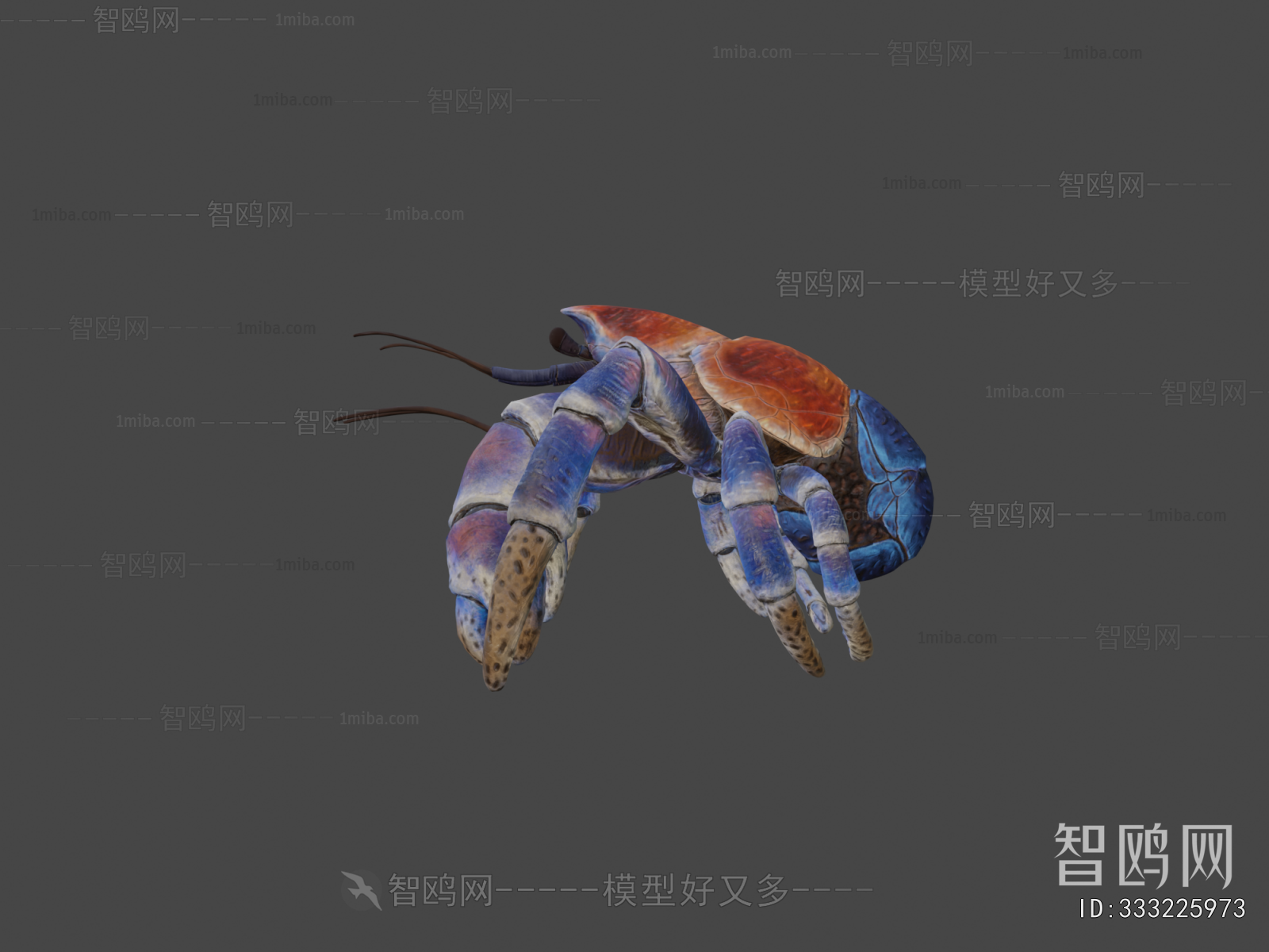 Modern Animal