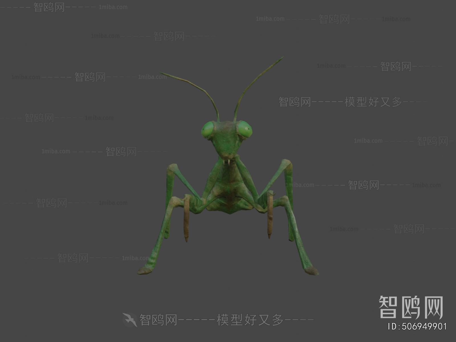 Modern Other Animals