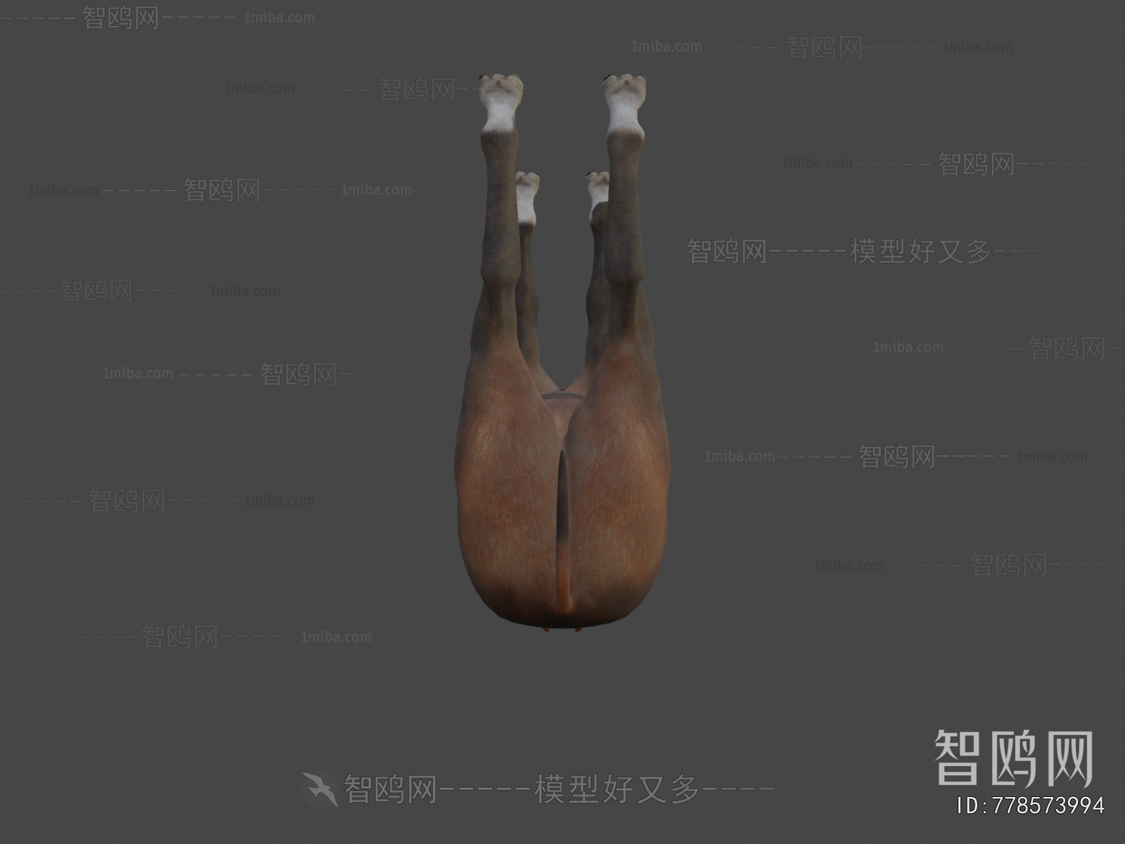 Modern Mammal