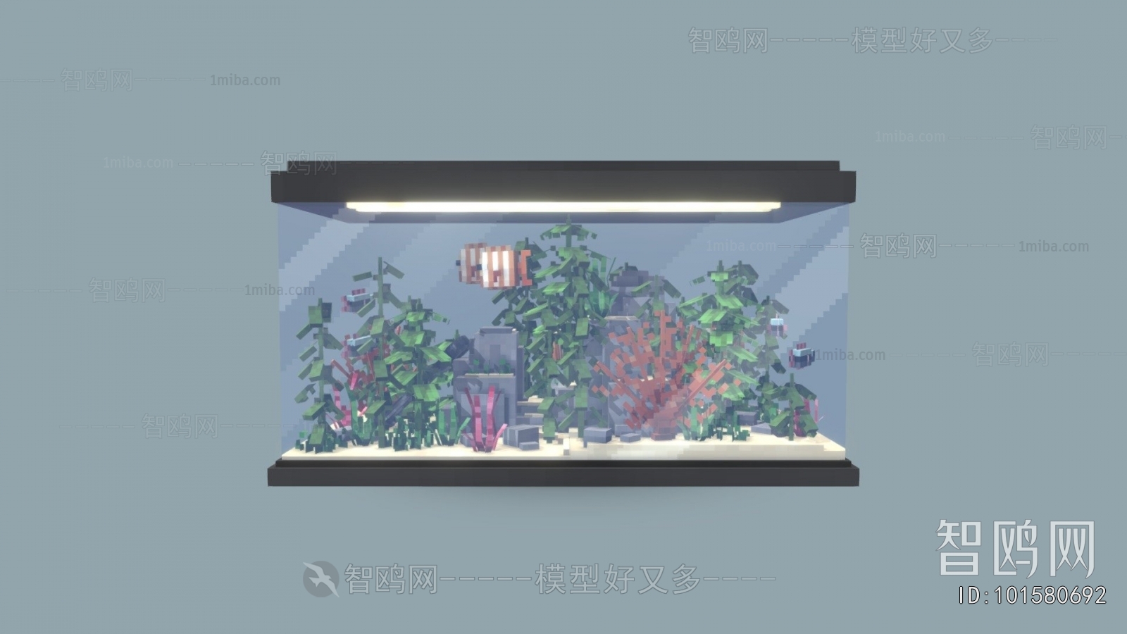 Modern Fish Tank
