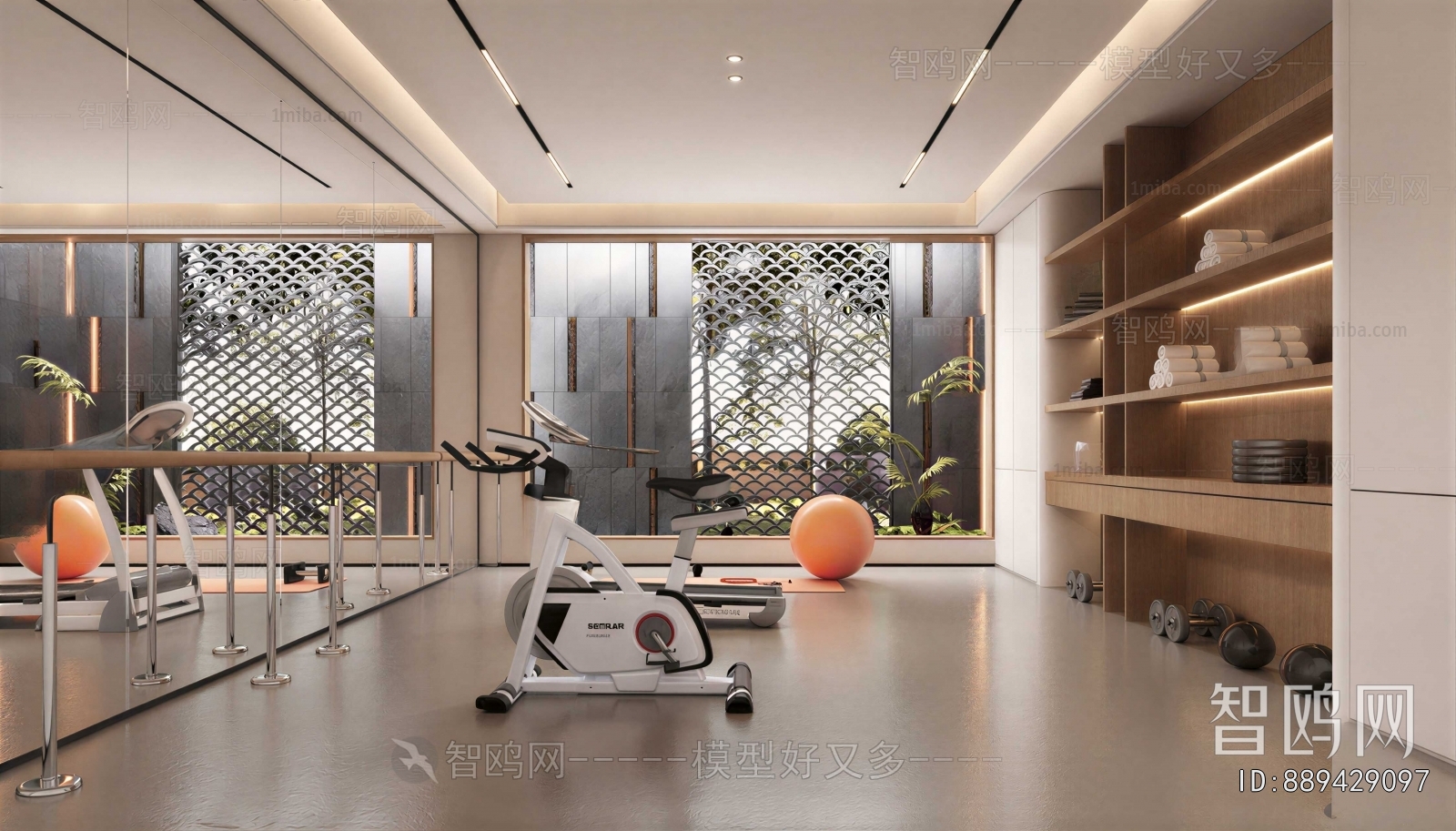 Modern Home Fitness Room
