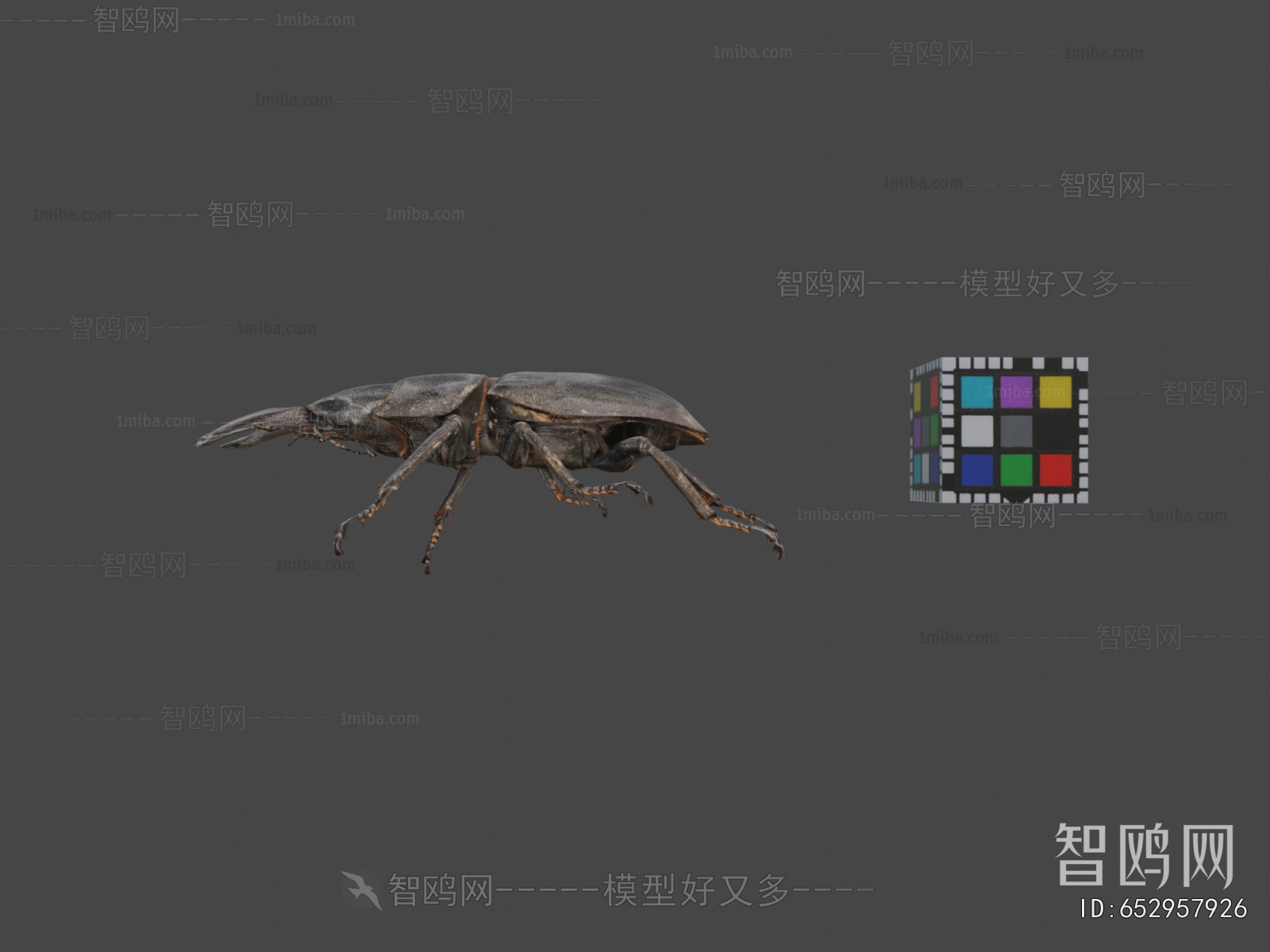 Modern Animal