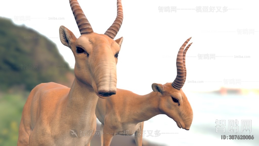 Modern Mammal