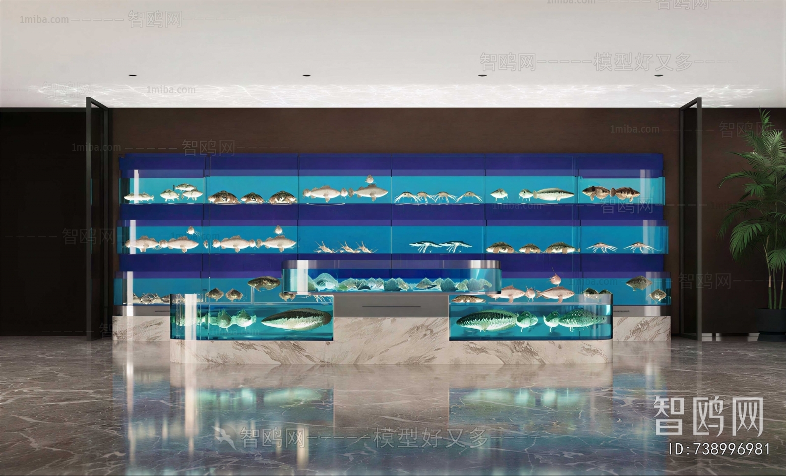 Modern Fish Tank