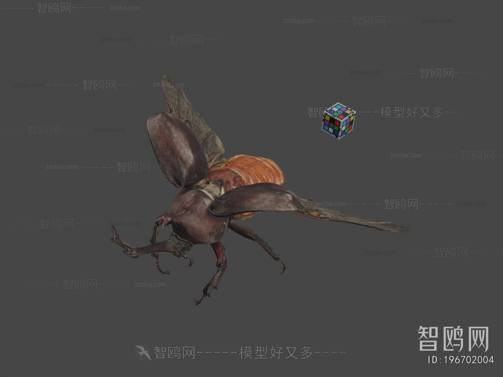 Modern Animal