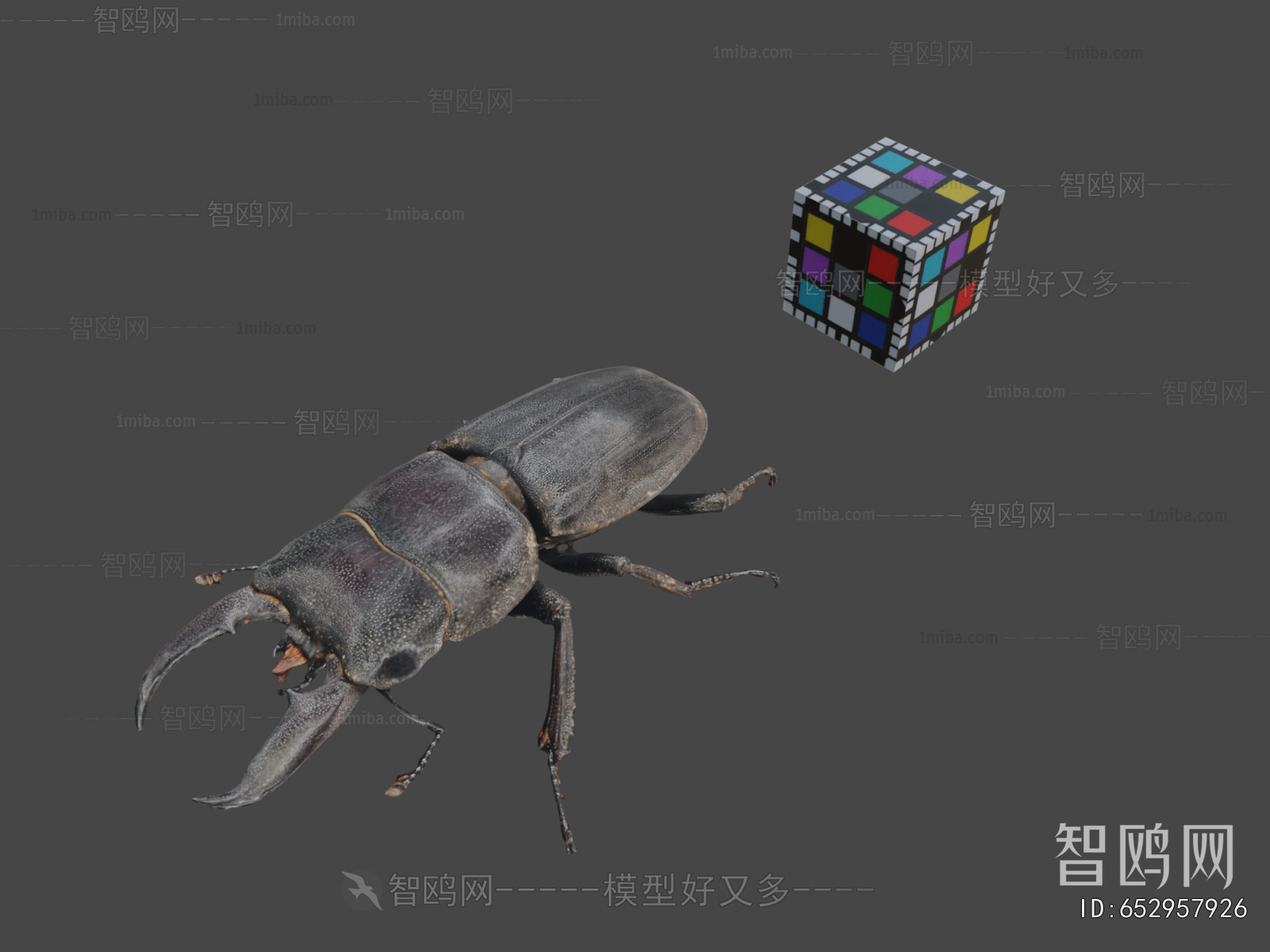 Modern Animal